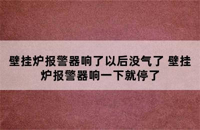 壁挂炉报警器响了以后没气了 壁挂炉报警器响一下就停了